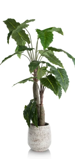 Clearance XOOON Alocasia Giant Tree H180cm kunstplant in de kleur Groen
