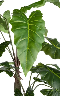 Clearance XOOON Alocasia Giant Tree H180cm kunstplant in de kleur Groen