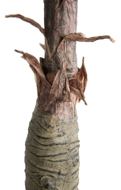 Clearance XOOON Alocasia Giant Tree H180cm kunstplant in de kleur Groen