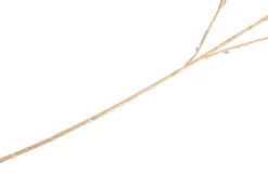 New XOOON Bauhinia Branch H115cm kunstbloem in de kleur Paars - COCOmaison