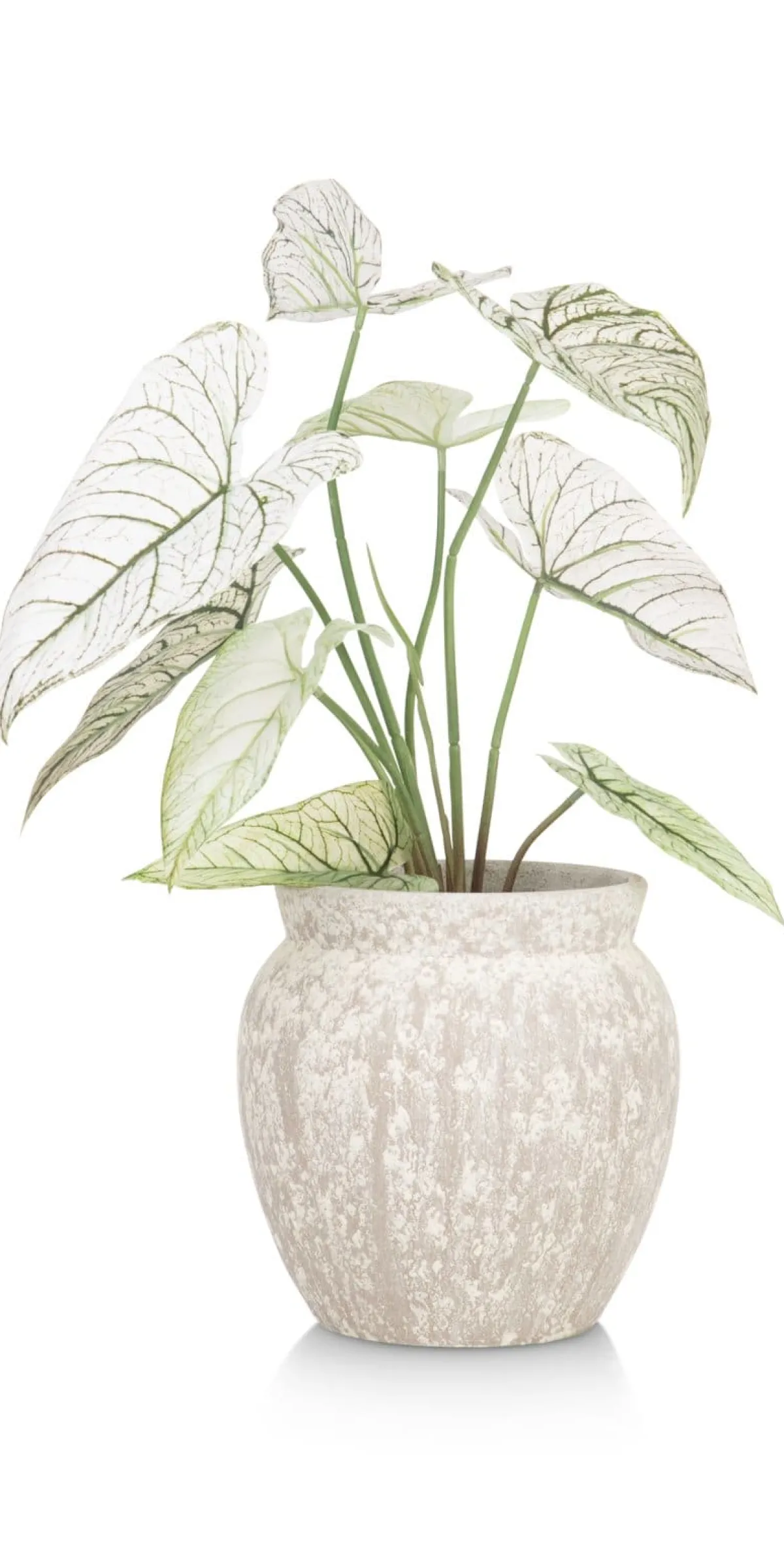 Outlet XOOON Braga pot H25cm in de kleur Beige - COCOmaison