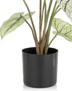Online XOOON Caladium H60cm kunstplant in de kleur Groen - COCOmaison