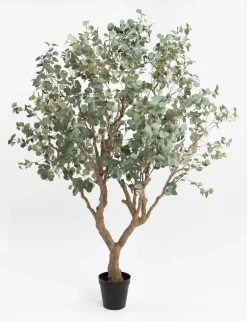 Hot XOOON COCOmaison, Eucalyptus Tree kunstplant H240cm - Groen