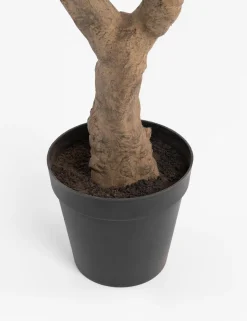 Hot XOOON COCOmaison, Eucalyptus Tree kunstplant H240cm - Groen