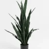 XOOON COCOmaison, Sansevieria kunstplant H115cm - Groen
