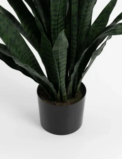 XOOON COCOmaison, Sansevieria kunstplant H115cm - Groen