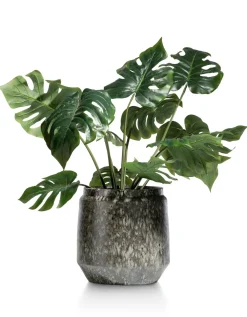 Clearance XOOON Dalila pot H28cm in de kleur Zwart - COCOmaison