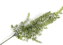 Clearance XOOON Eucalyptus Hanging Vine in de kleur Groen - COCOmaison