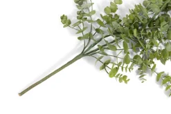 Clearance XOOON Eucalyptus Hanging Vine in de kleur Groen - COCOmaison