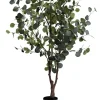 Outlet XOOON Eucalyptus Tree kunstplant (H180cm) in de kleur Groen