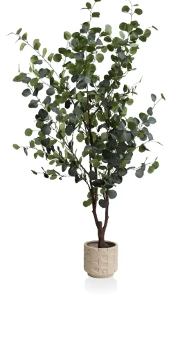 Outlet XOOON Eucalyptus Tree kunstplant (H180cm) in de kleur Groen