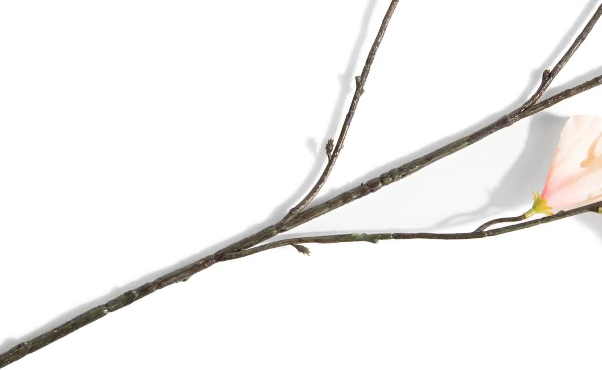 Clearance XOOON Hibiscus Branch H115cm kunstbloem in de kleur Oranje