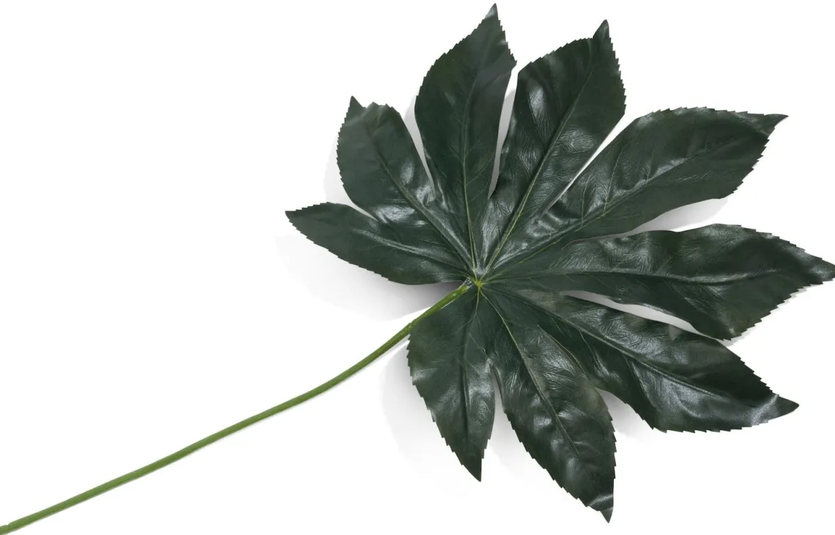 Discount XOOON Kunstbloem h55 cm Fatsia Leaf | COCOmaison