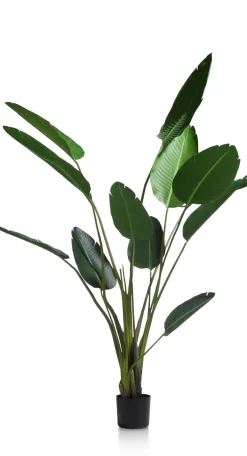 Online XOOON Kunstplant - 150 cm Strelitzia Nicolai | COCOmaison