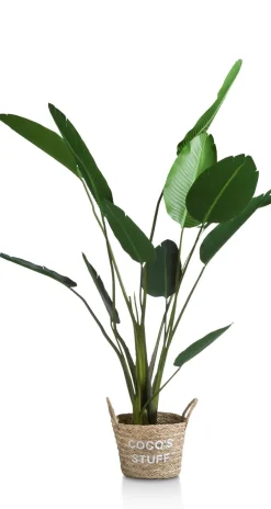 Online XOOON Kunstplant - 150 cm Strelitzia Nicolai | COCOmaison