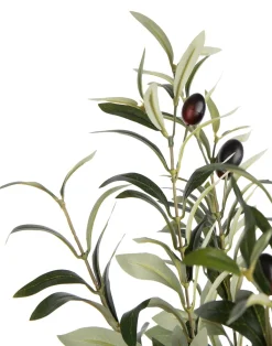 Outlet XOOON Olive Tree H150cm kunstplant in de kleur Groen - COCOmaison