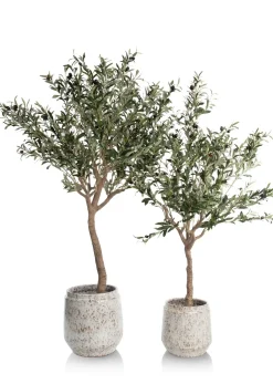 Outlet XOOON Olive Tree H150cm kunstplant in de kleur Groen - COCOmaison