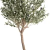 Online XOOON Olive Tree H180cm kunstplant in de kleur Groen - COCOmaison