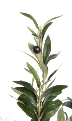 Online XOOON Olive Tree H180cm kunstplant in de kleur Groen - COCOmaison