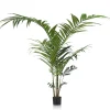Outlet XOOON Palm plant h210 cm Kentia | COCOmaison
