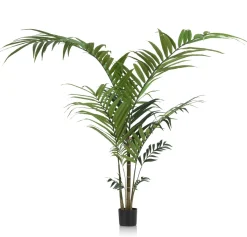 Outlet XOOON Palm plant h210 cm Kentia | COCOmaison