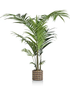 Outlet XOOON Palm plant h210 cm Kentia | COCOmaison