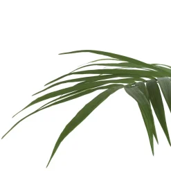 Outlet XOOON Palm plant h210 cm Kentia | COCOmaison