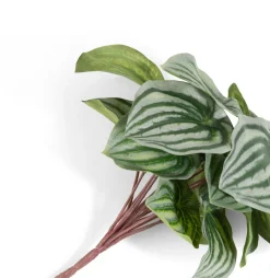 Outlet XOOON Peperomia Bush H25cm kunstbloem in de kleur Groen - COCOmaison
