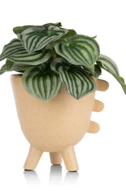 Outlet XOOON Peperomia Bush H25cm kunstbloem in de kleur Groen - COCOmaison