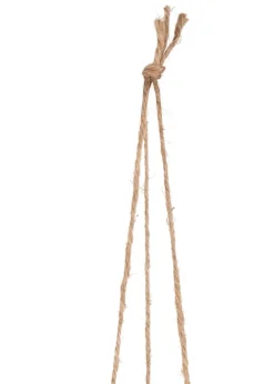 Outlet XOOON Philodendron Scandens H80cm in de kleur Groen - COCOmaison