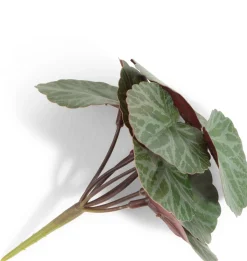 Online XOOON Saxifrage Mini Bush H13cm kunstbloem in de kleur Groen