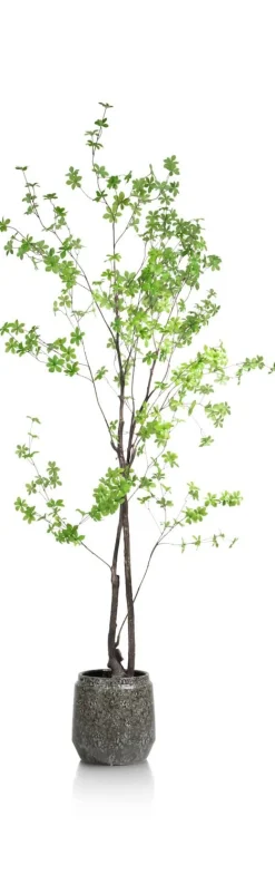 New XOOON Tropaeolum kunstplant H210cm - COCOmaison