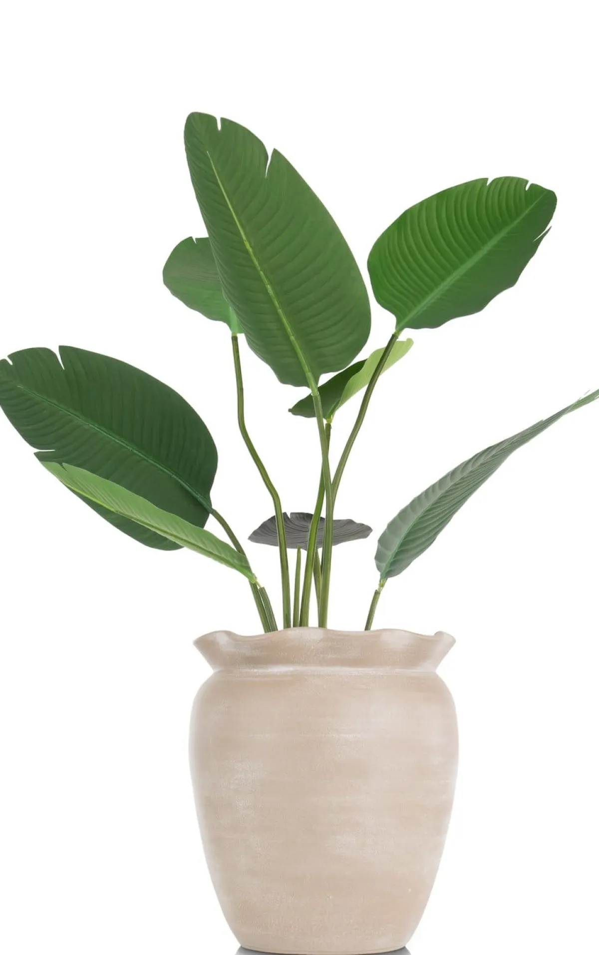 Sale XOOON Wave pot H40cm in de kleur Beige - COCOmaison
